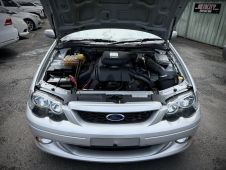 IMG_8599.jpeg