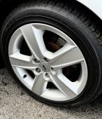 IMG_8597.jpeg